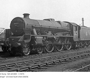 JAY1804