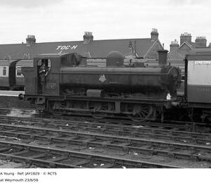 JAY1829