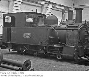 JAY1901