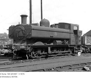 JAY1907