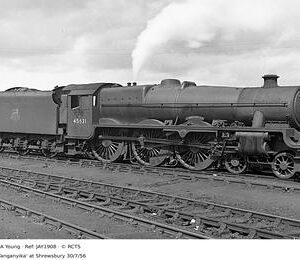 JAY1908