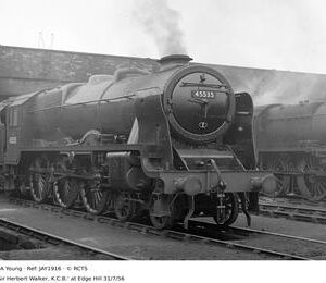 JAY1916