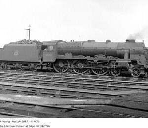 JAY1917