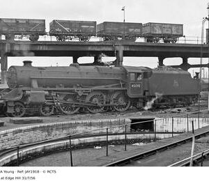 JAY1918