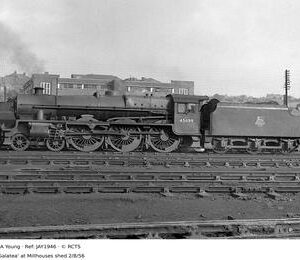 JAY1946