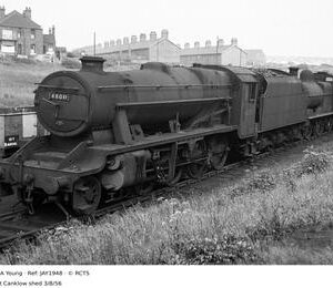 JAY1948