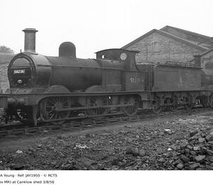 JAY1950
