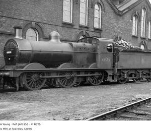JAY1955