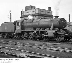 JAY1961