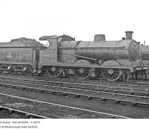 JAY2028