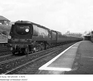 JAY2109