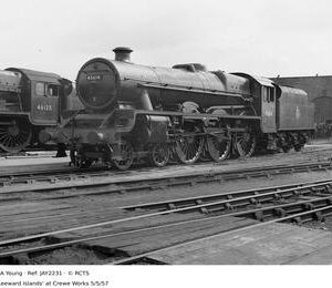 JAY2231