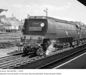 JAY2305