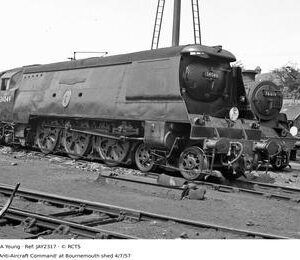 JAY2317