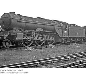 JAY2444