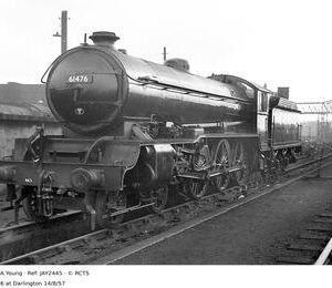 JAY2445