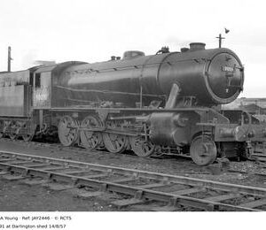 JAY2446