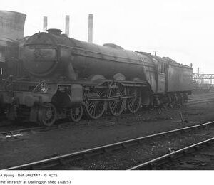 JAY2447