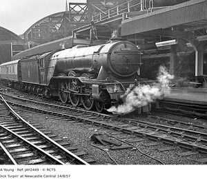 JAY2449