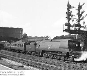 JAY2461