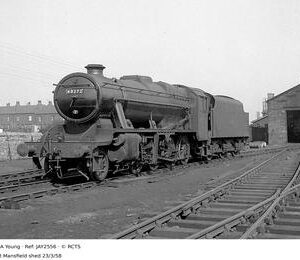 JAY2556