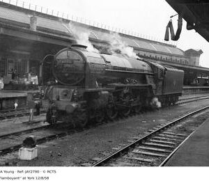 JAY2790