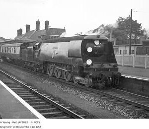 JAY2822