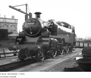 JAY2838