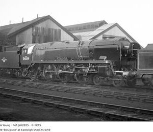 JAY2875