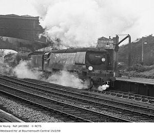 JAY2892