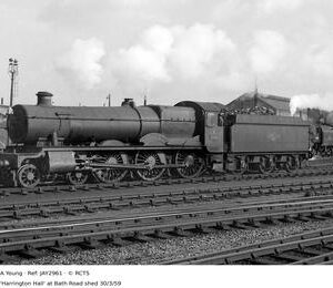 JAY2961