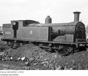 JAY3116