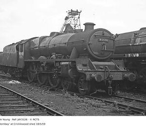 JAY3126