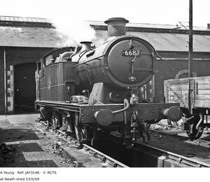 JAY3146