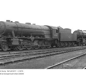 JAY3277
