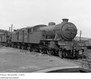 JAY3289