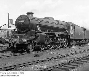 JAY3293