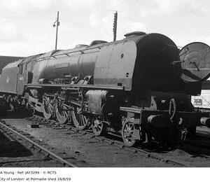JAY3299