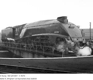 JAY3307