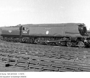 JAY3316