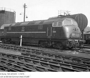 JAY3335