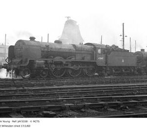 JAY3338