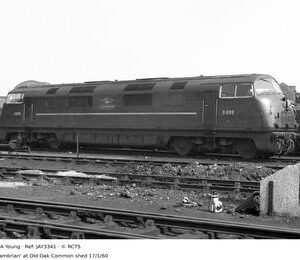 JAY3341