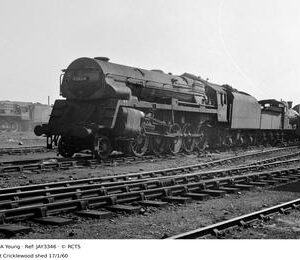JAY3346
