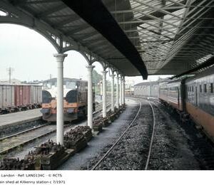 LAN0134C