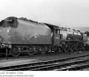 MJB0229