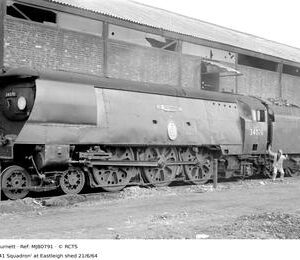 MJB0791