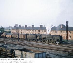MM00055C
