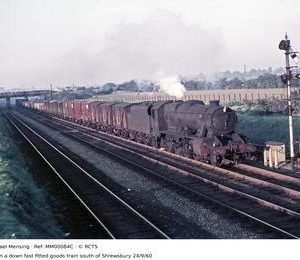 MM00084C