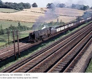 MM00096C
